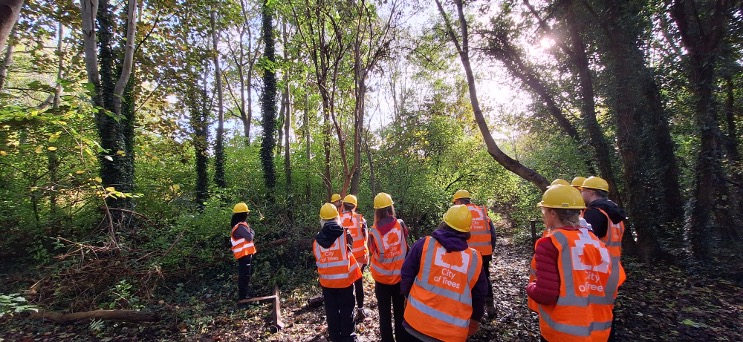 CICES champions sustainability with woodland conservation initiative